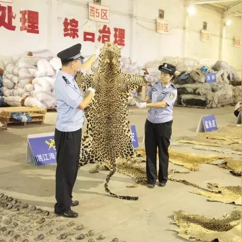 湛江和天津哪个繁华些