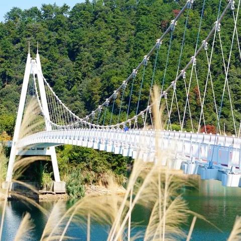 杭州市是后花园是哪个县