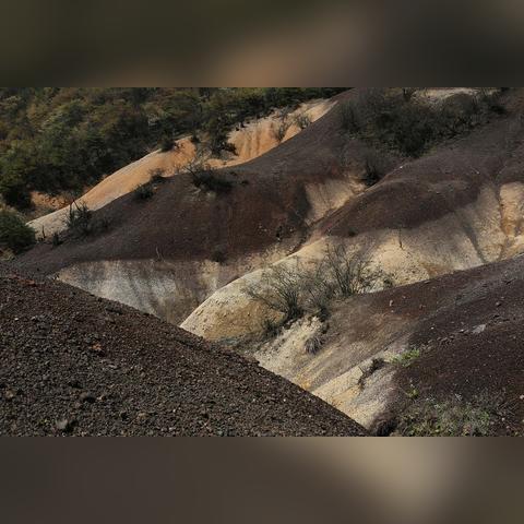 龙塘乡是属于重庆哪个镇