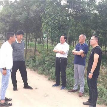 河南内乡养殖的相关长尾关键词有哪些