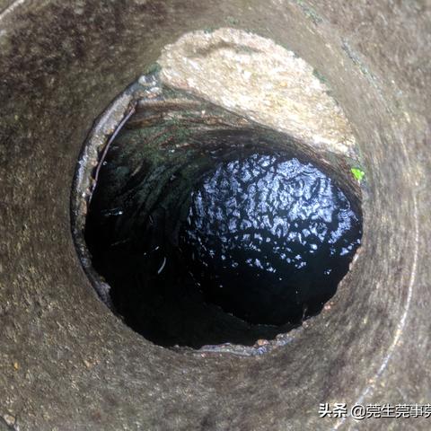 东莞市哪里有山泉水游泳池