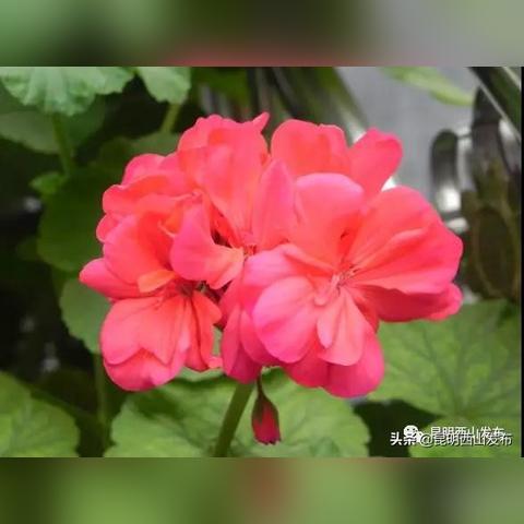 昆明市孩子去哪里玩最好