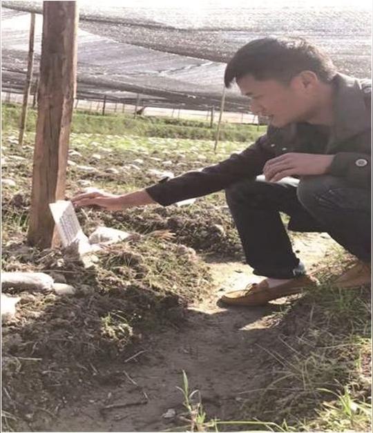 大理漾濞县退伍军人返乡创业带领村民脱贫致富