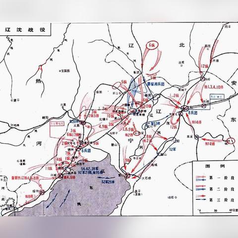 沈阳哪里卖蛇相关长尾关键词有哪些
