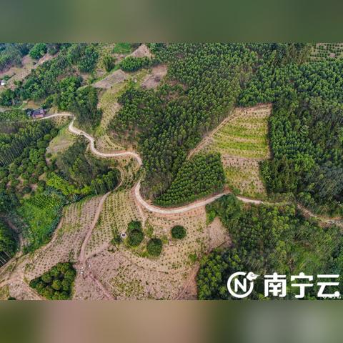 南宁经开区部门的相关长尾关键词有哪些