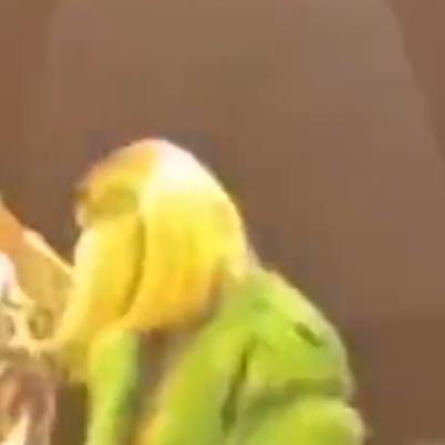 长沙电音蹦迪相关长尾关键词有哪些