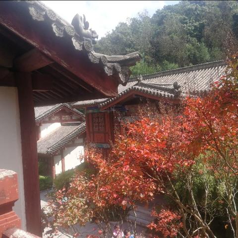 初九武汉的相关长尾关键词有哪些