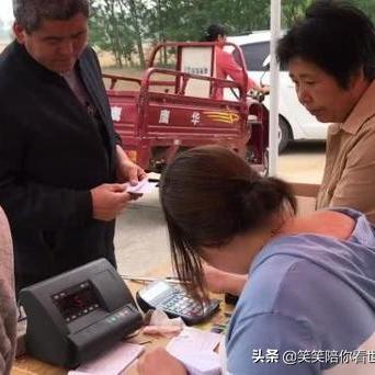河南什么时间种小麦
