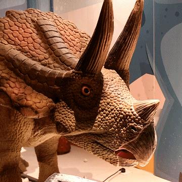 宁波恐龙2021的相关长尾关键词有哪些