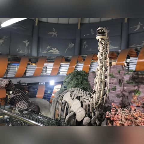 河南恐龙公园哪个好