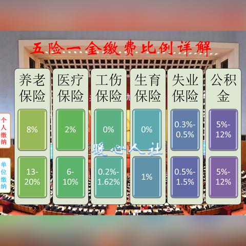 厦门市户口医社保交多少