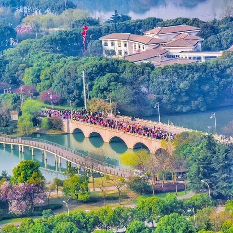 厦门大学与天津大学比较哪个大学好？
