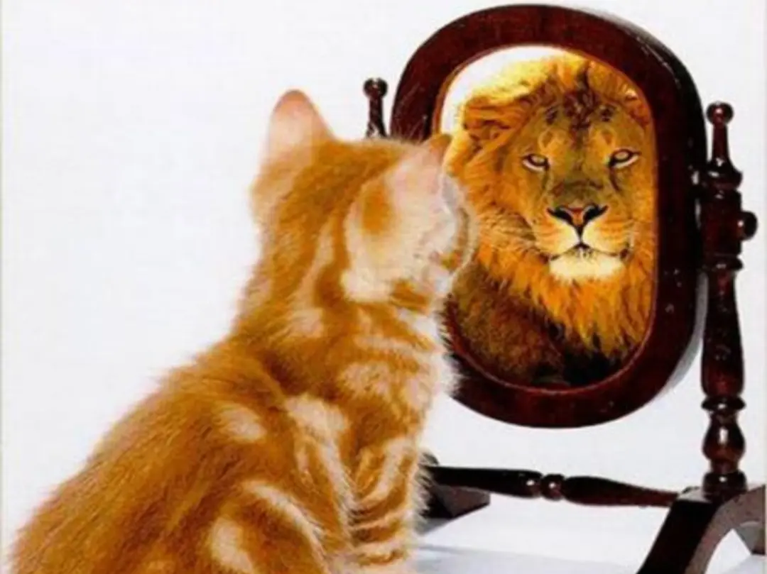 有没有赚钱的路子 有没有赚钱的