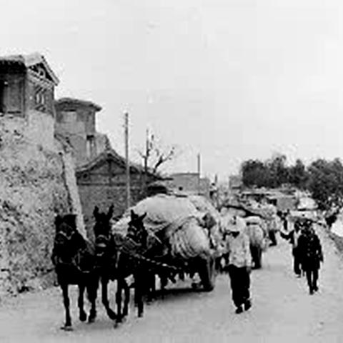 兰州种谷子最佳时间的相关长尾关键词有哪些