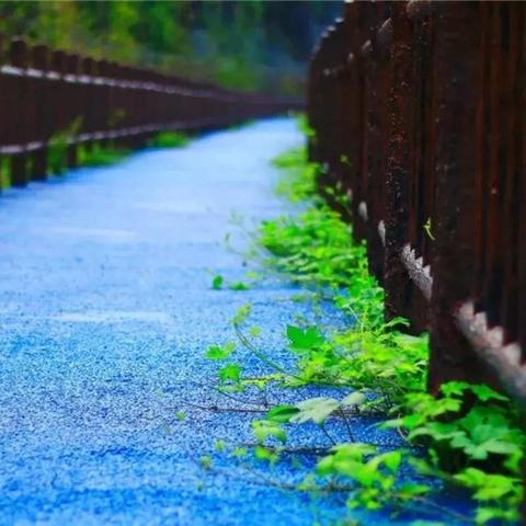 温州市东门菜场在哪里啊