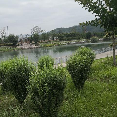 奉化什么时候归入宁波市