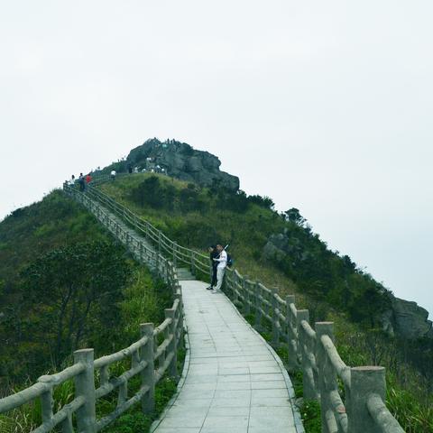 东莞市谢岗在哪里