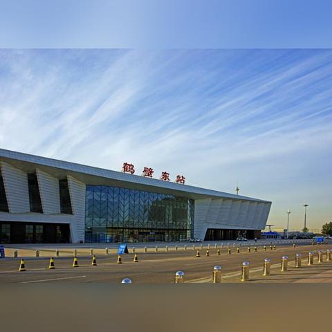 河南北部养什么花最好