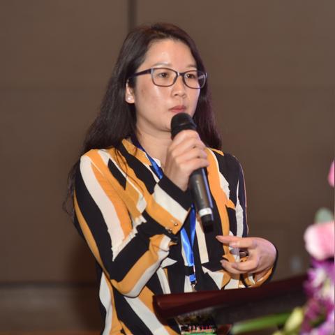 哈尔滨西双版纳新闻相关长尾关键词有哪些