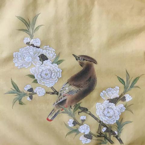 苏州常熟市教师招聘公告的长尾关键词有哪些