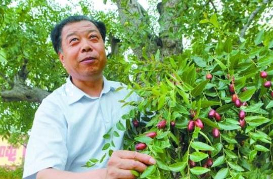 23年打造中国红枣第一品牌，这位河南农民，一年入账50多亿