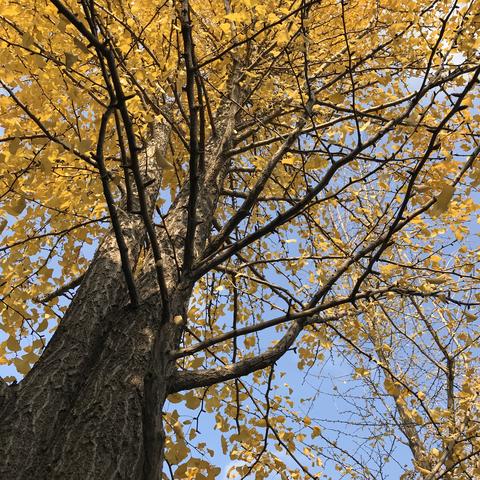 清涧怎么样