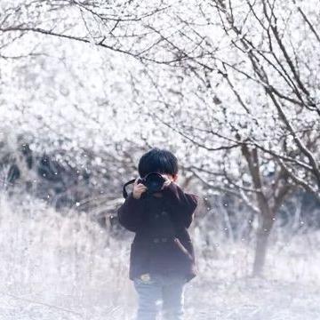 宁波九峰山的梅花的相关长尾关键词有哪些