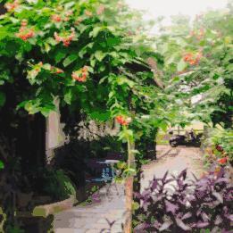 桂林市芦笛是属于哪个区