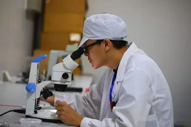 nft小技巧 nft入门技巧