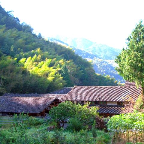 浙江温州市的面积的长尾关键词有什么