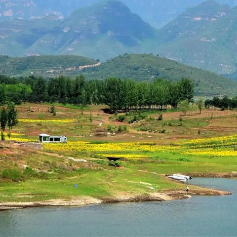 保定市油菜花田在哪里啊