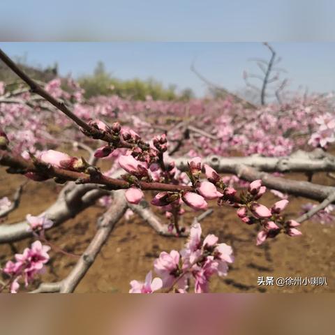 龙口市去临沂市怎么去的长尾关键词有什么