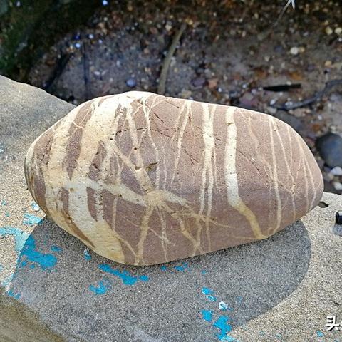 九马画山回桂林相关长尾关键词有哪些