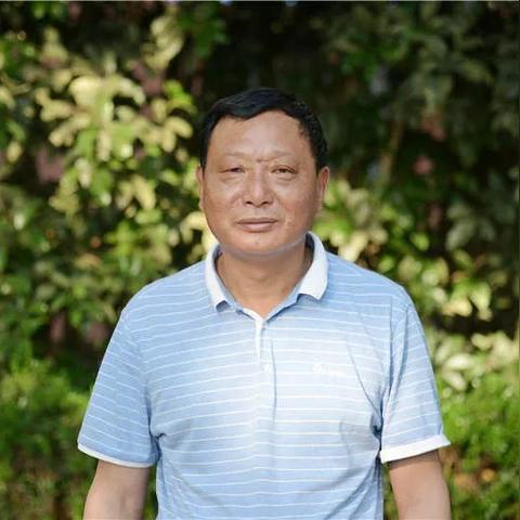 江苏省南通市老鹅多少钱一斤