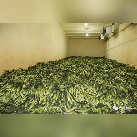 广东佛山市物流十人装车的长尾关键词有哪些