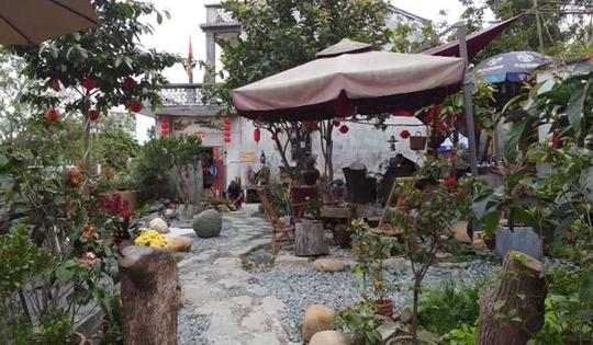 江门开平市强亚村：“慢”了游客脚步“鼓”了村民腰包
