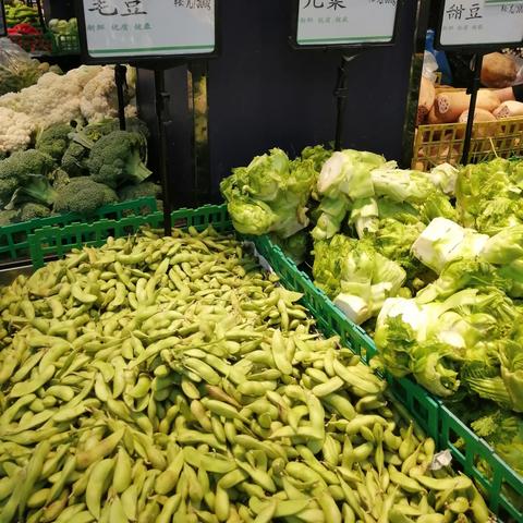 【深圳今日菜价】2025年5月12日深圳菜价是多少