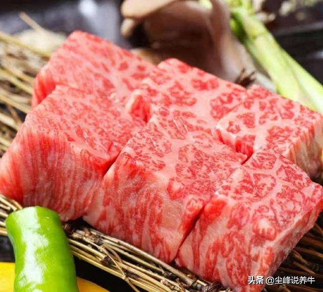 日本的顶级食材和牛，究竟是一种怎样的美味