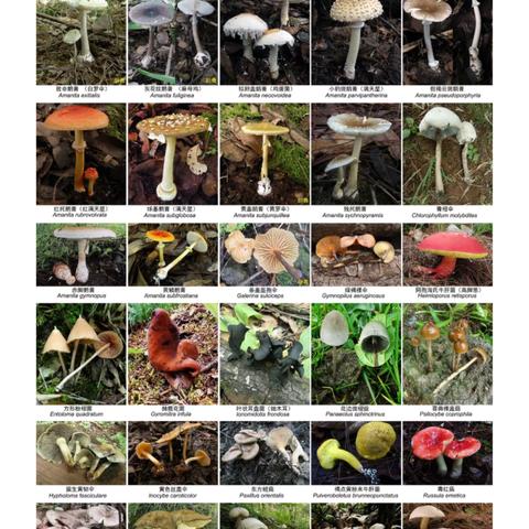 福建女人性格顺口溜？