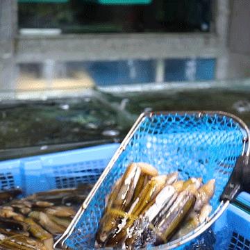 成都市扇贝王火锅店地址的长尾关键词有哪些