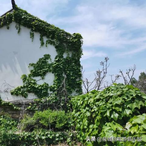 济南市海拔高度多少