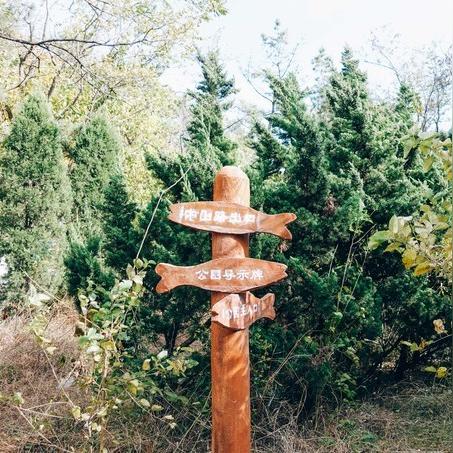 大连飞飞姐的相关长尾关键词有哪些