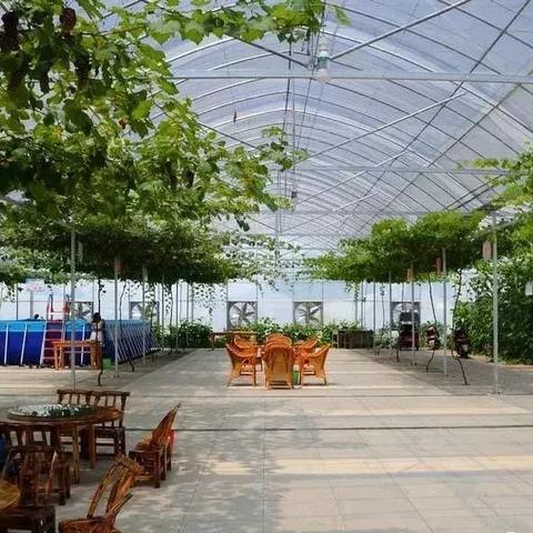 武汉市什么地方有骑马场