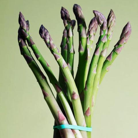 河南的芦笋收割后种什么