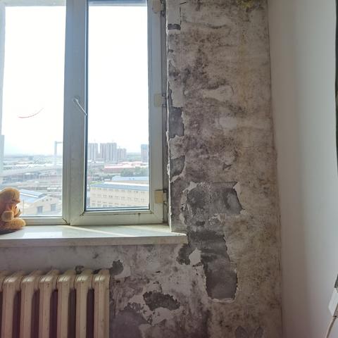 哈尔滨水泥桩相关长尾关键词有哪些