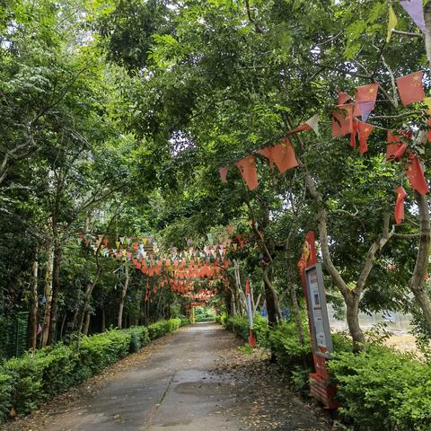 深圳市坪山区哪个靠海边