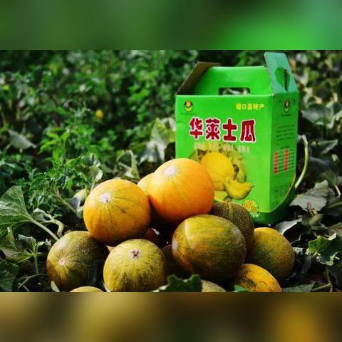 巴彦淖尔 兰州的相关长尾关键词有哪些