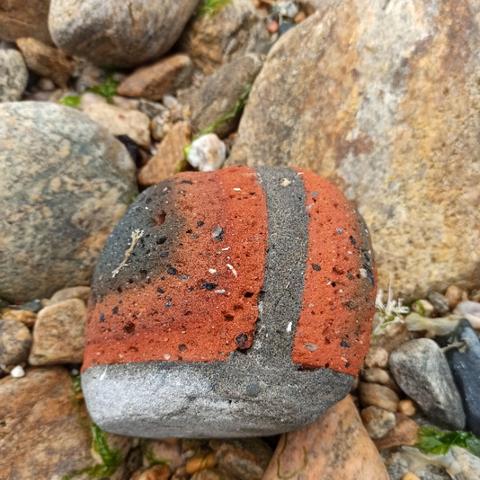 天津美丽宝贝怎么样