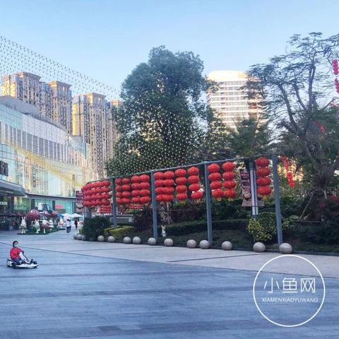 厦门市教师的薪资是多少