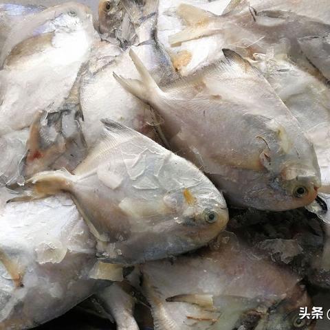 冻鲳鱼的做法大全的长尾关键词有哪些